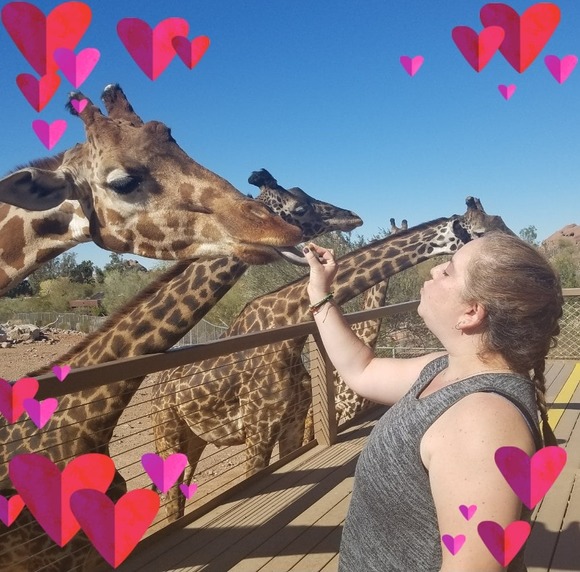 Meet your Posher, Samantha - Picture 1 of 1